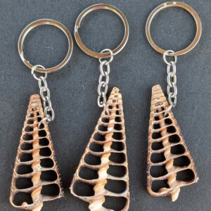 Sea Shell Key Chain