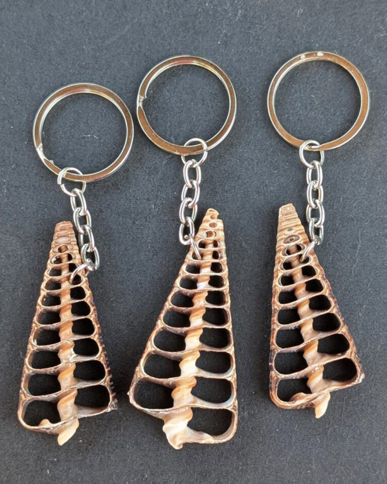 Sea Shell Key Chain