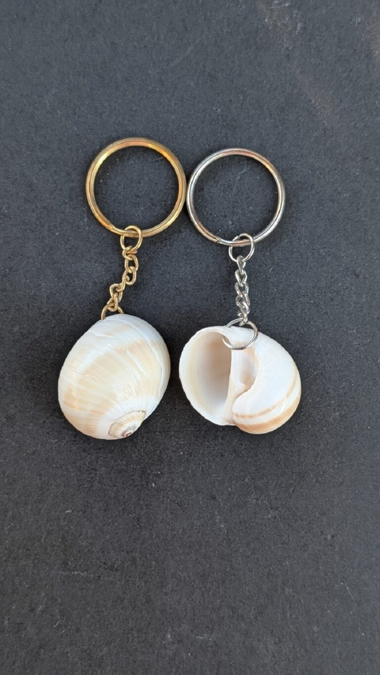 Sea Shell Key Chain