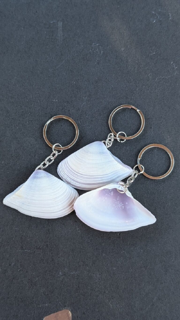 Sea Shell Key Chain
