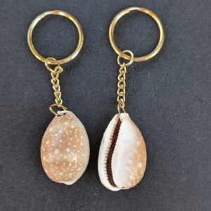 Sea Shell Key Chain
