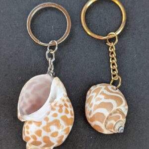 Sea Shell Key Chain