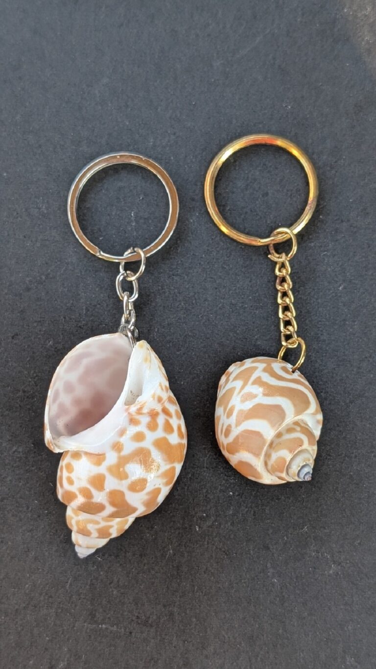 Sea Shell Key Chain