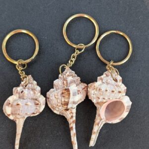 Sea Shell Key Chain