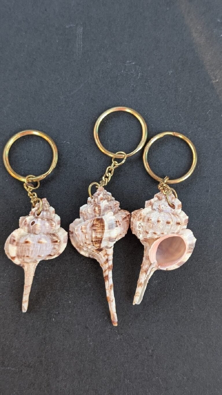 Sea Shell Key Chain