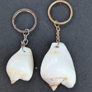 Sea Shell Key Chain