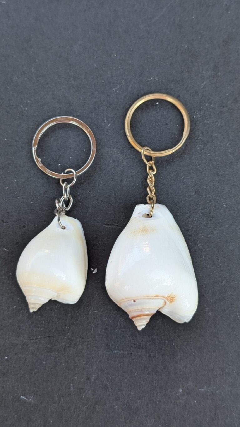 Sea Shell Key Chain