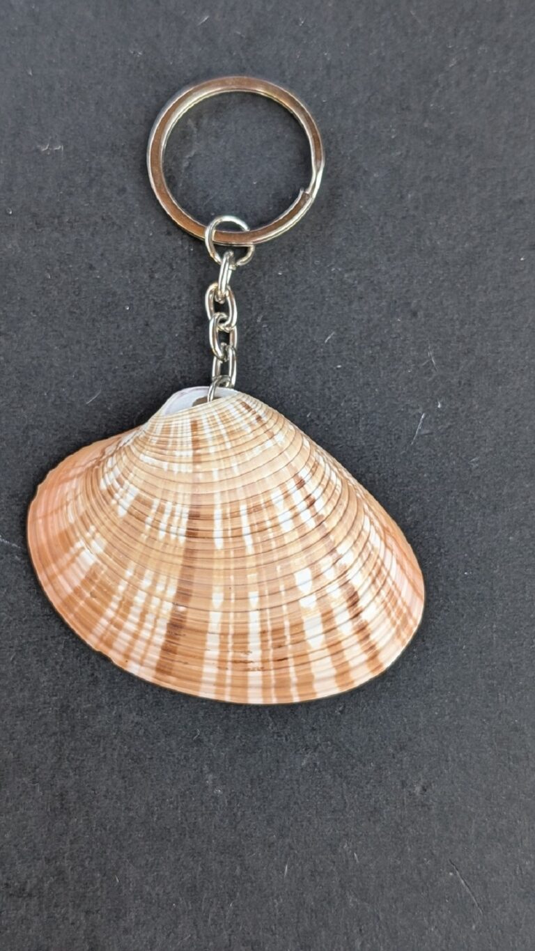 Sea Shell Key Chain