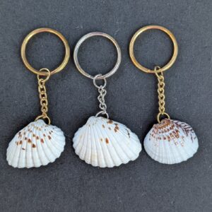 Sea Shell Key Chain