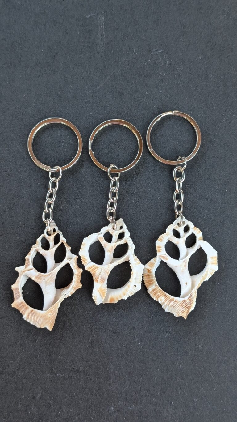 Sea Shell Key Chain