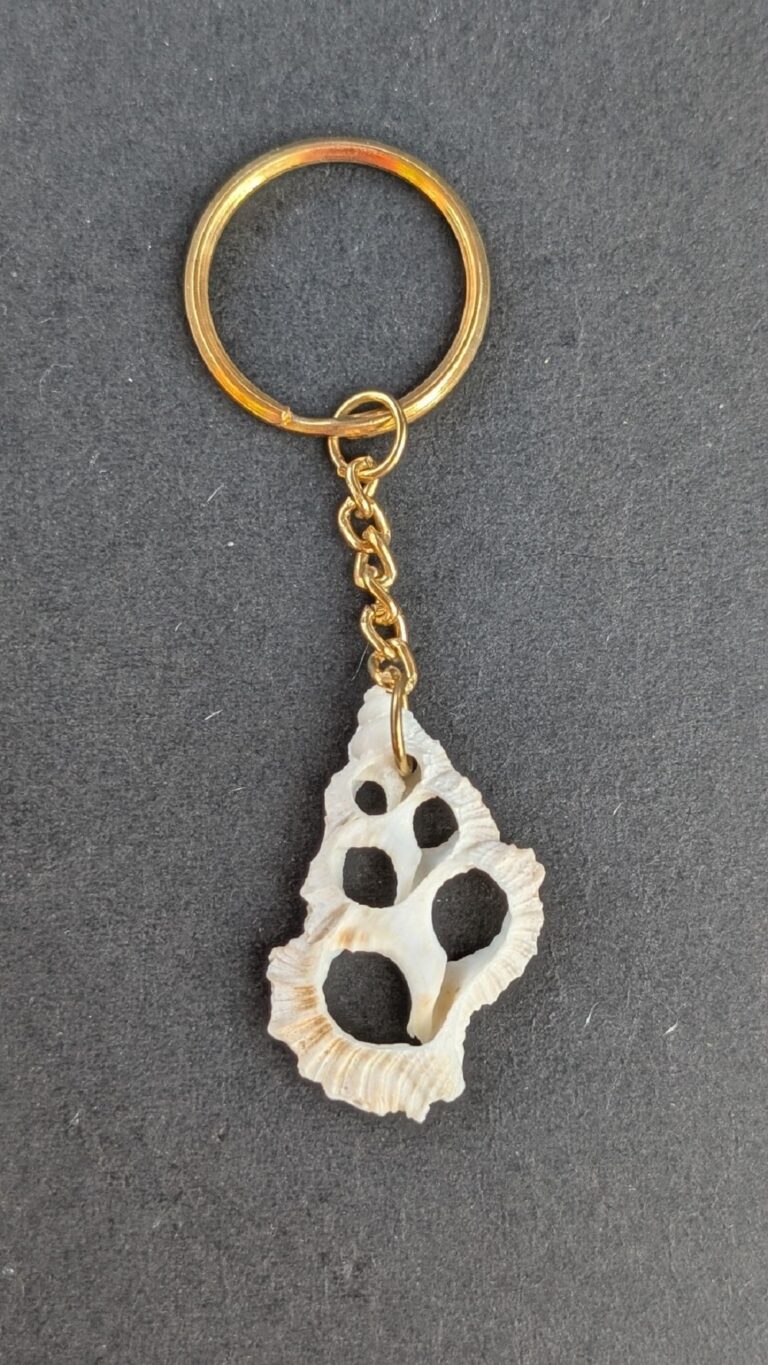 Sea Shell Key Chain