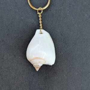 Sea Shell Key Chain