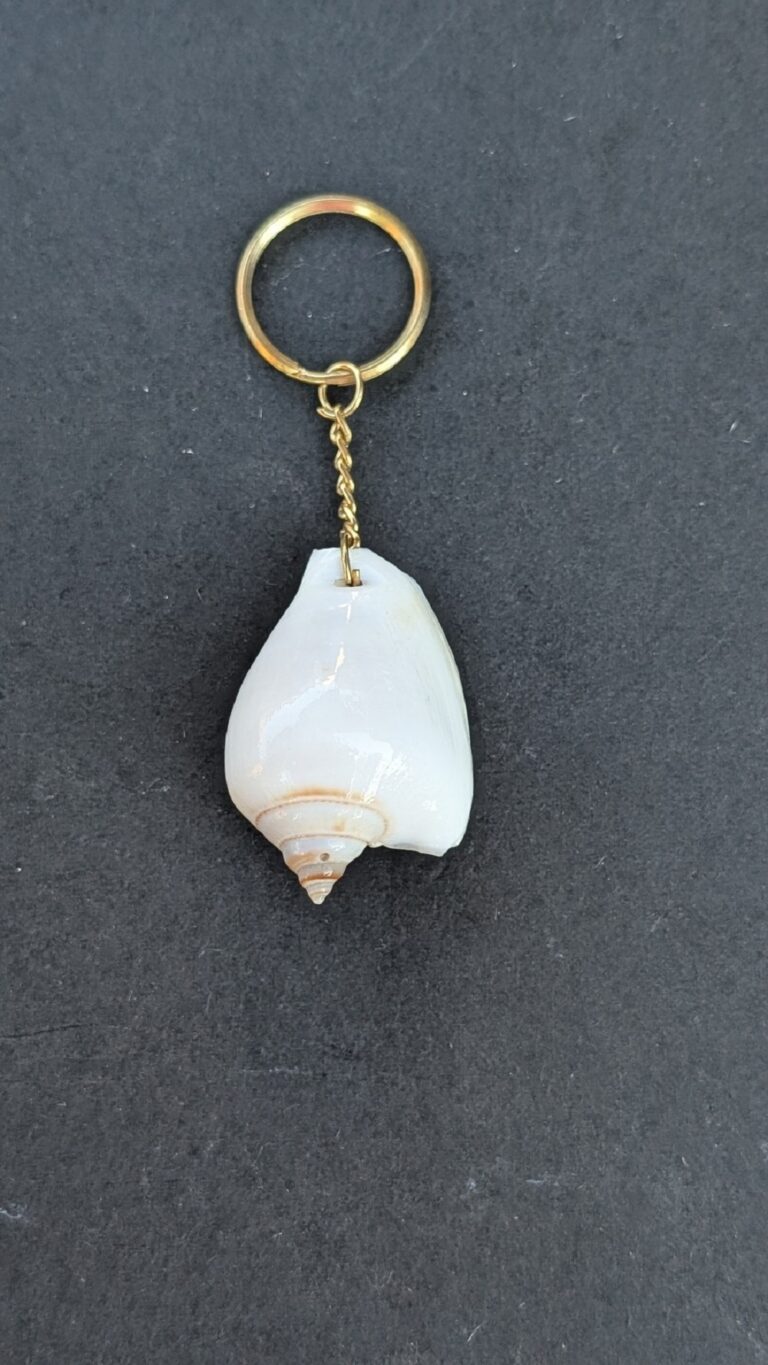 Sea Shell Key Chain