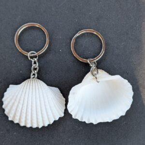 Sea Shell Key Chain