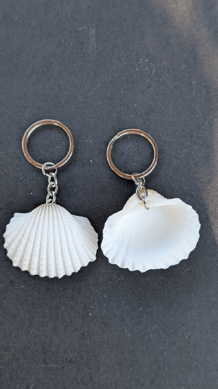 Sea Shell Key Chain