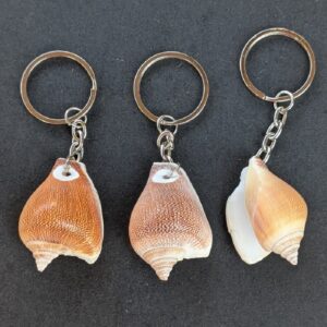 Sea Shell Key Chain