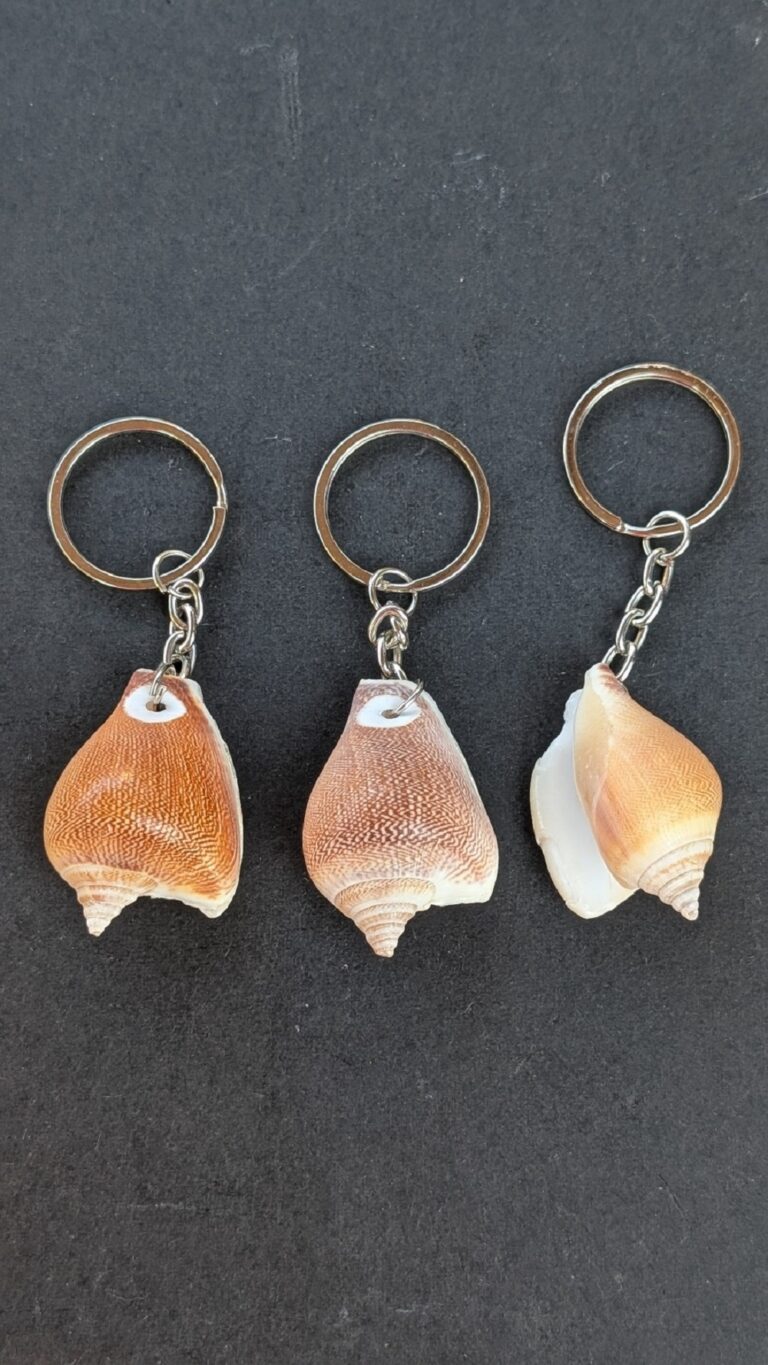 Sea Shell Key Chain