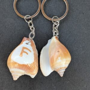 Sea Shell Key Chain