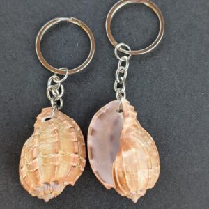 Sea Shell Key Chain