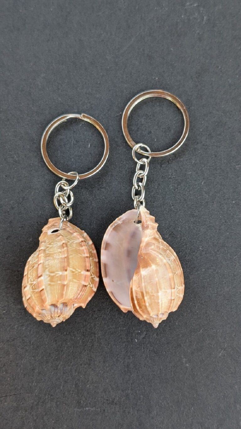 Sea Shell Key Chain