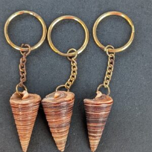 Sea Shell Key Chain