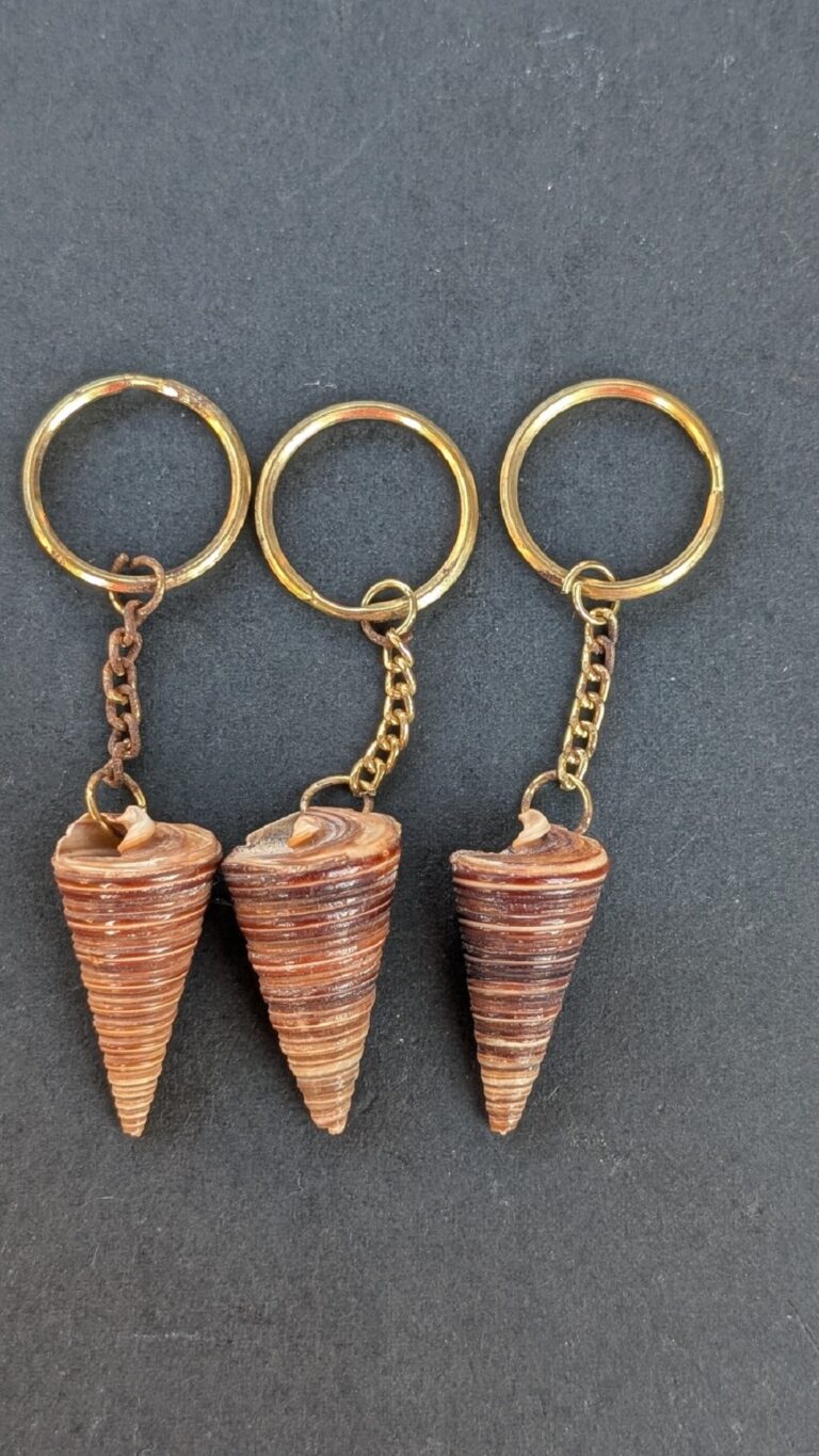 Sea Shell Key Chain