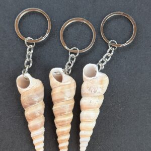 Sea Shell Key Chain