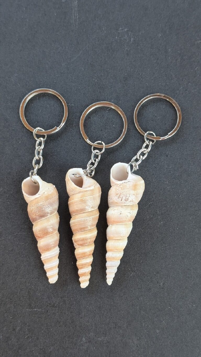Sea Shell Key Chain
