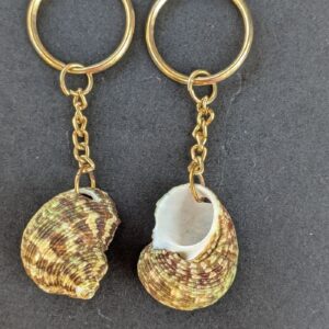 Sea Shell Key Chain