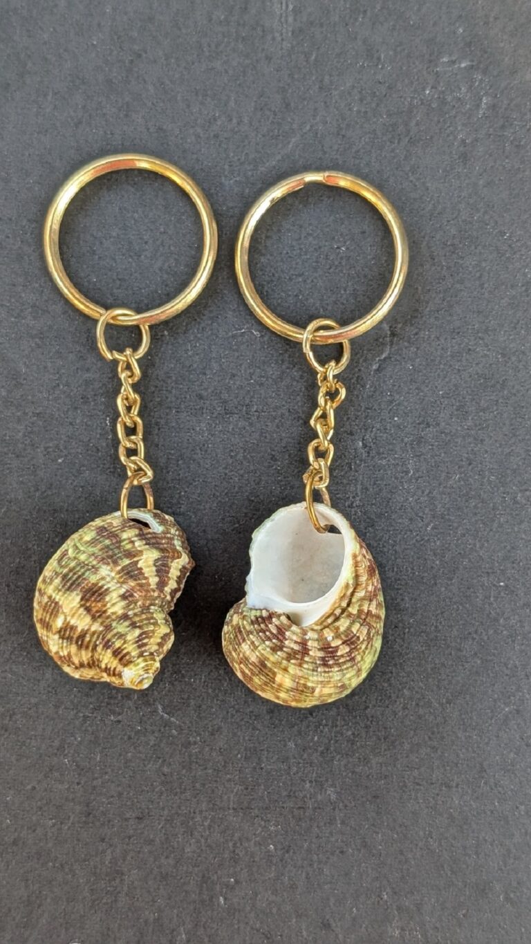 Sea Shell Key Chain
